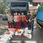 InShot_20240620_204739207