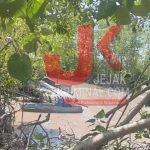 InShot_20240710_131732133