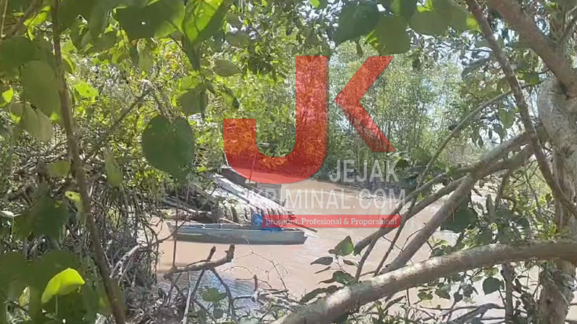 InShot_20240710_131732133