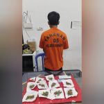 InShot_20251108_195607909